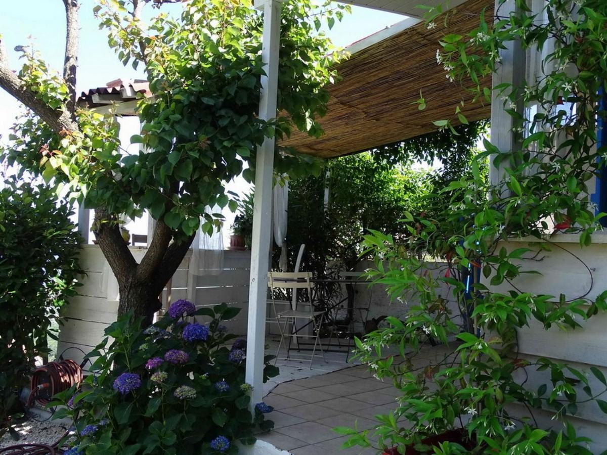 Casa Pentone Villa Cervione Exterior foto