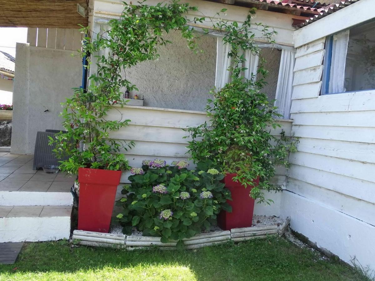 Casa Pentone Villa Cervione Exterior foto