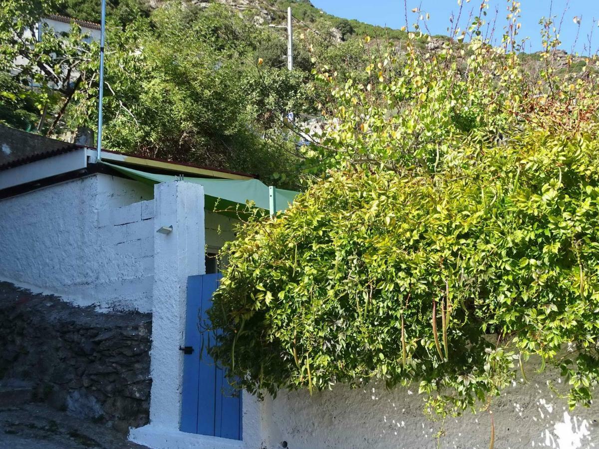Casa Pentone Villa Cervione Exterior foto
